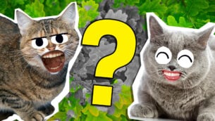 Roblox: Warrior Cats Quiz