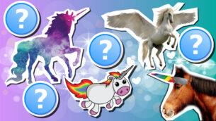 What Unicorn Am I?