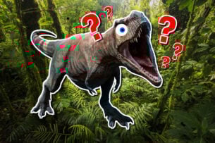 The Ultimate Jurassic Park Quiz!