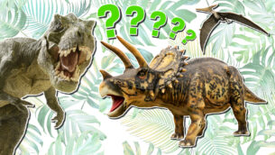 Which Dinosaur Are You?