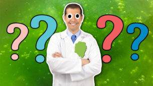 The Ultimate Slime Job Predictor