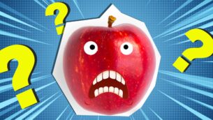 The Ultimate Food Quiz!