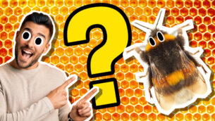 Man Vs Bee: Which One Are You?