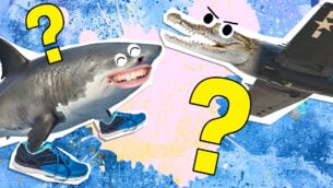 What Brainrot Meme Are You?