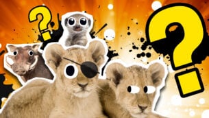 Mufasa: The Lion King Quiz