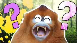 The Legend of Ochi Quiz