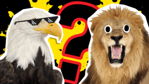 What is My Favourite Animal Quiz