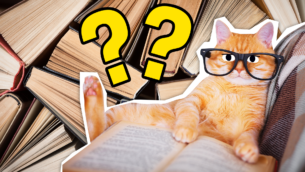 What Book Should I Read Next Quiz!