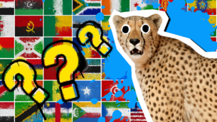 African Flags Quiz: How Much Do You Know? 