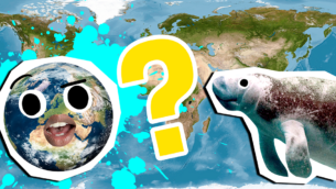 Continents and Oceans Quiz: How Much Do You Know? 