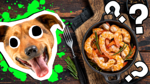 US State Specialities Food Quiz: How Much Do You Know?