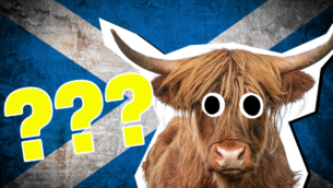 The Ultimate Scottish True or False Quiz!