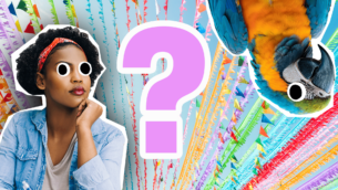 Latin American Countries and Capitals Quiz