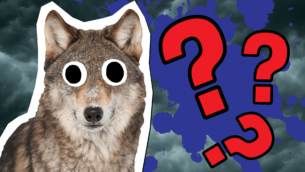 Harry Potter Quiz: How Well Do You Know Remus Lupin?