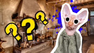 Harry Potter Trivia Quiz: How Well Do You Know Dobby?